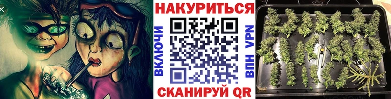 Купить закладку Приозерск ГАШИШ  Codein  Амфетамин  Конопля  МЕФ  Alpha-PVP 