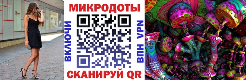 Галлюциногенные грибы ЛСД  наркотики  Приозерск 